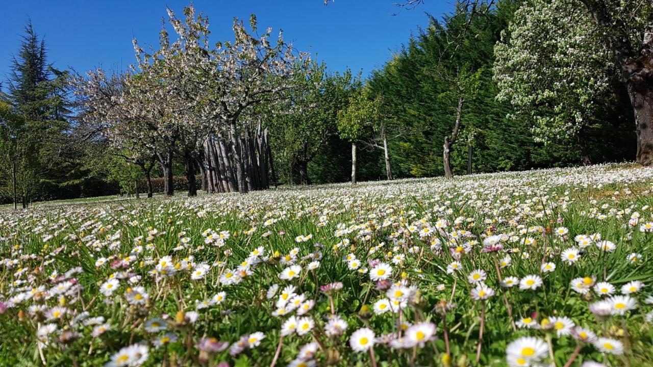 Moncrabeau Chambres D'Hotes Domaine De La Brette מראה חיצוני תמונה